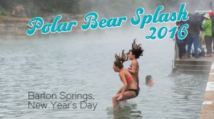 Polar Bear Splash 2016