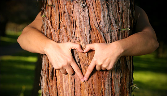 Tree-Hugger.jpg