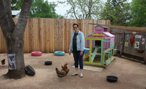 Funky Chicken Coop Tour
