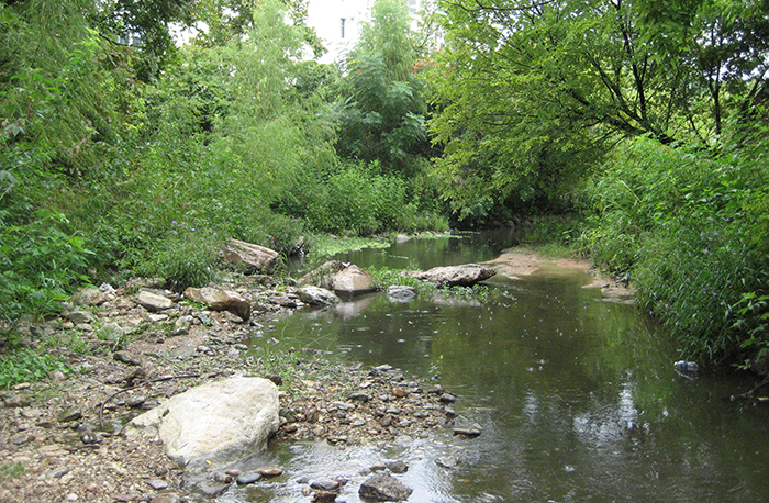 Waller Creek