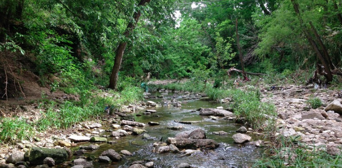 Waller Creek