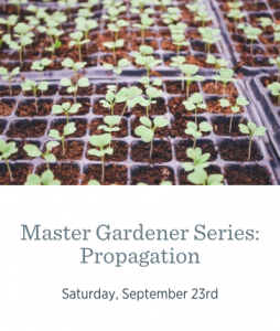 Master Gardener Series