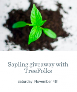 Free sapling giveaway