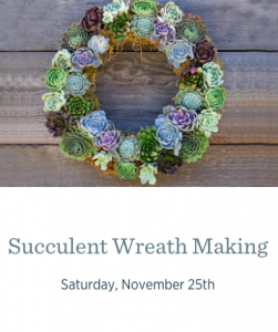 Succulent Wreath Making
