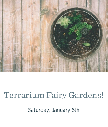 Terrarium Fairy Gardens