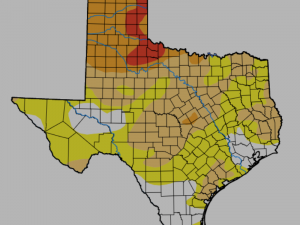 Texas Drought