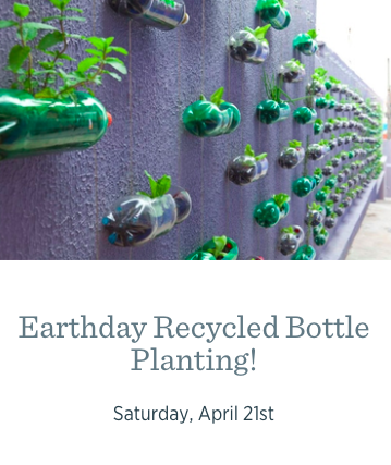 Earthday Recycled Bottle Planting
