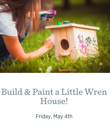 Build And Paint A Little Wren House