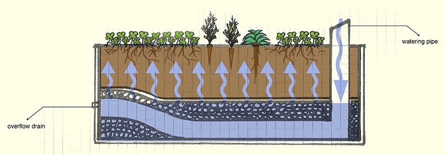 Wicking Bed