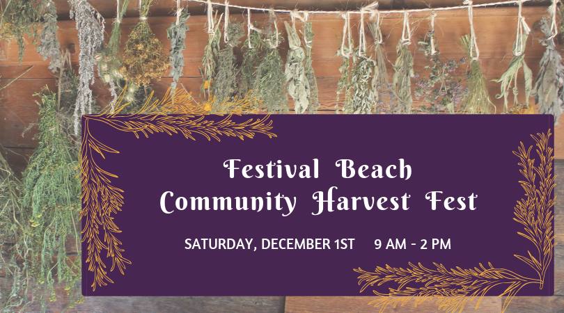 Festival Beach Community Forest Fest