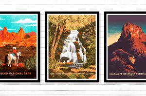 National Parks Poster Show