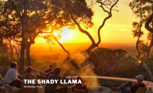 The Shady Llama