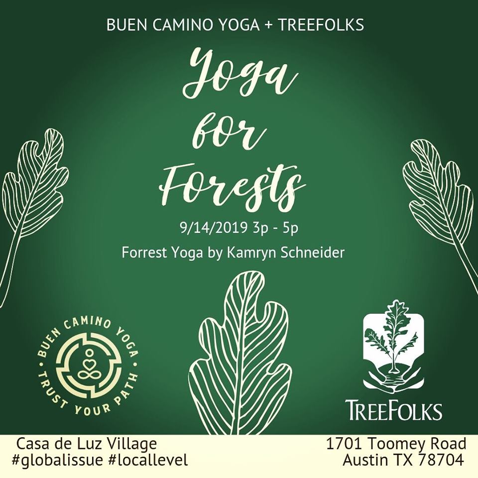 Yoga For Forests
