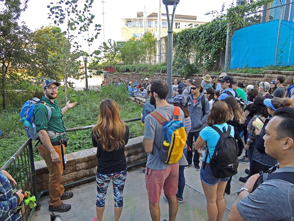 Introduction To Urban Forest Stewards