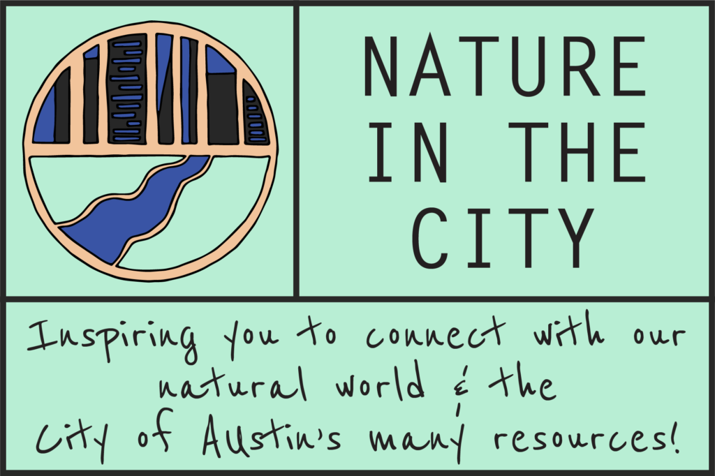 Nature In The City - Mobile Header