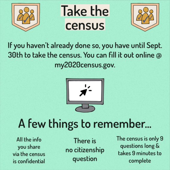 Census Volunteering 5