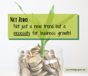 net zero business