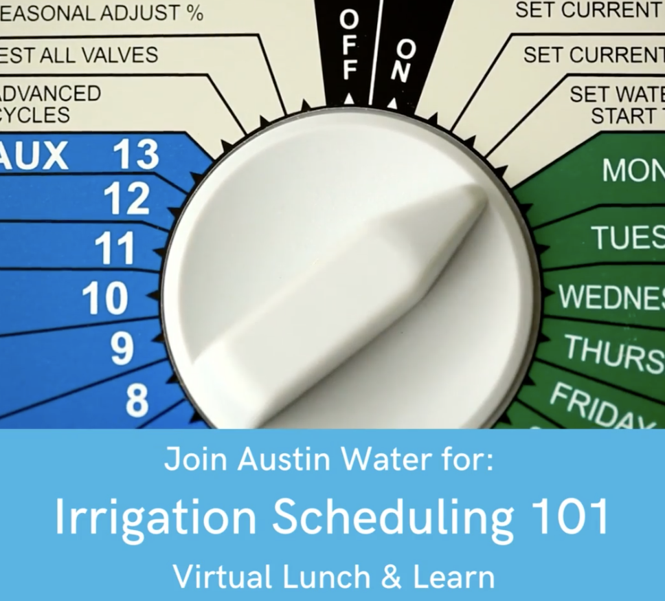 Irrigation Lunch & Learn