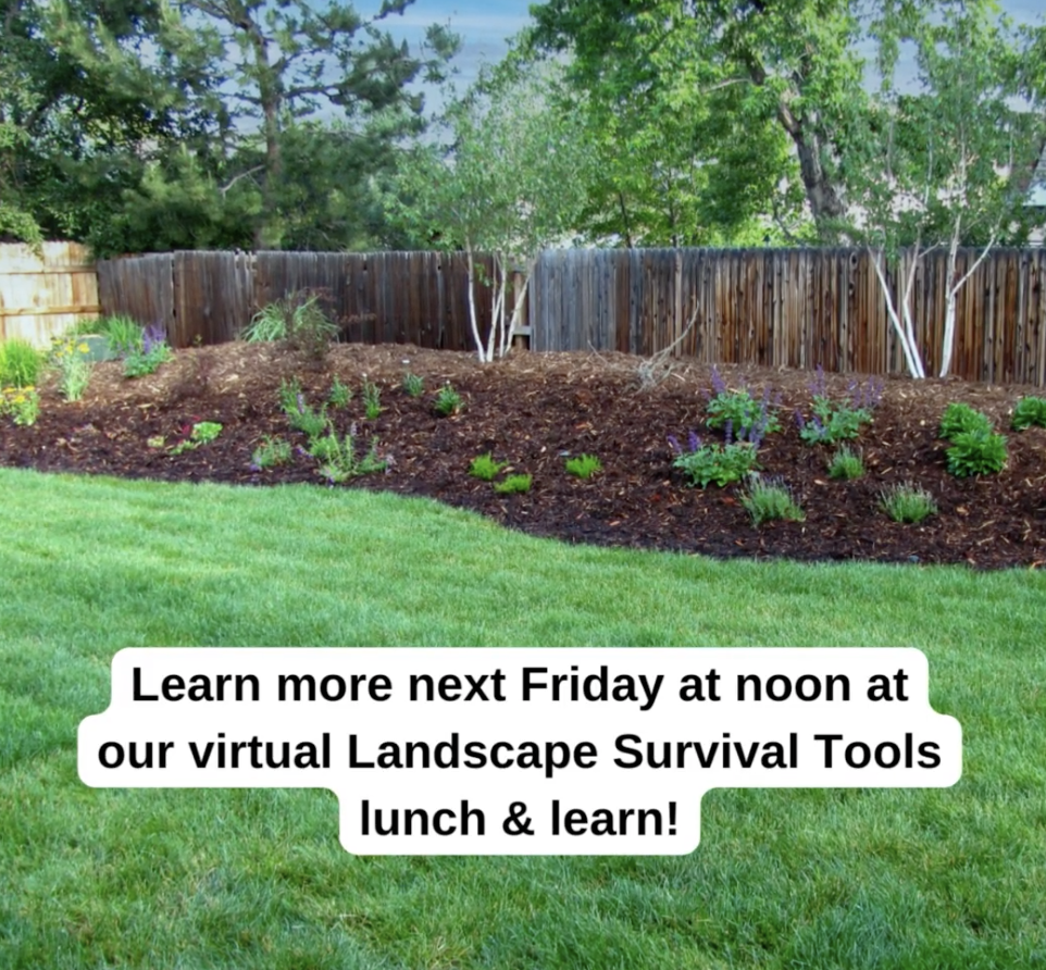 Landscape Survival Tools