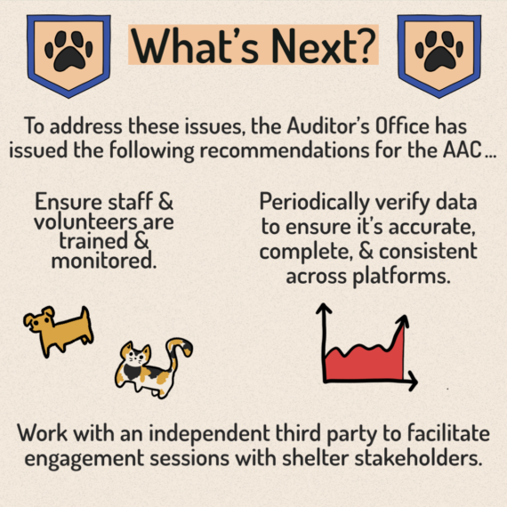 Animal Services Audit - 10