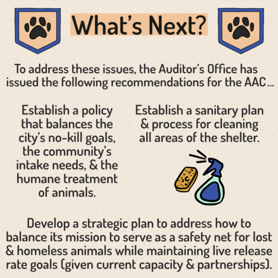 Animal Services Audit - 9