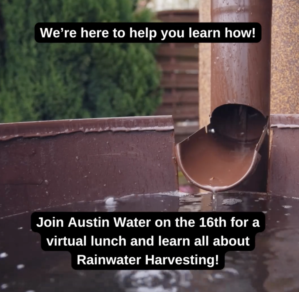 Collecting Rainwater