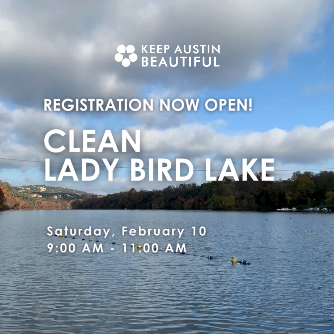 Clean Lady Bird Lake